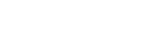 Dynasoft